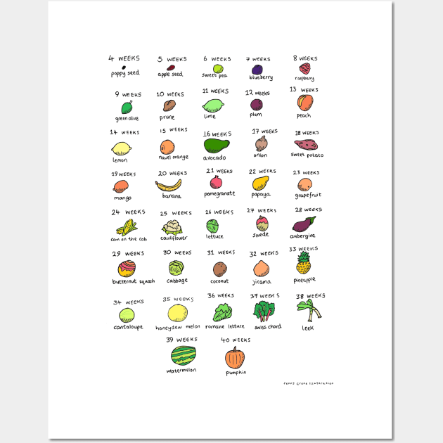 Baby size chart - fruit and veg Wall Art by JennyGreneIllustration